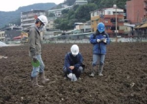 土壤整治採樣